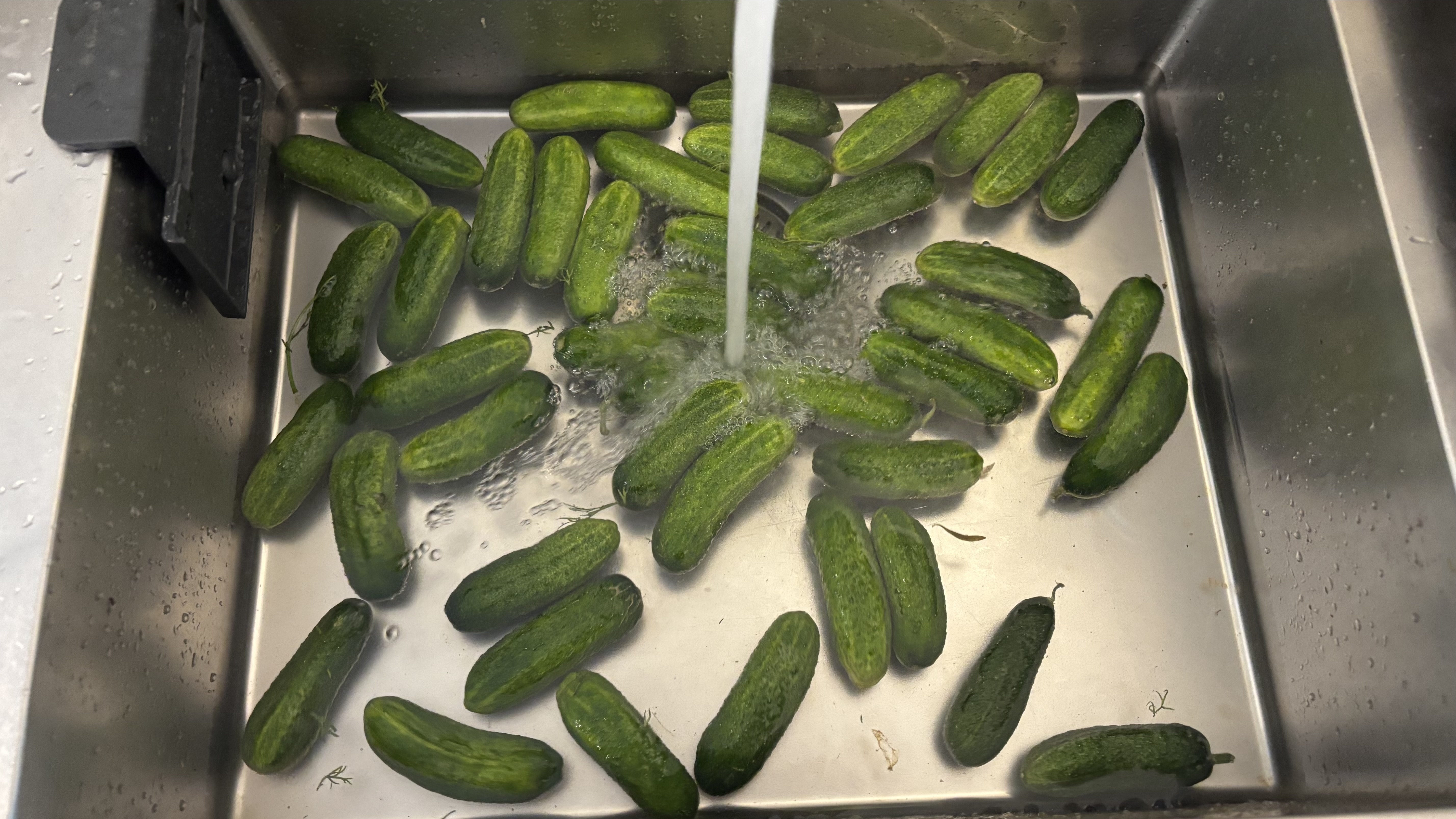 verse augurken in een wasbak